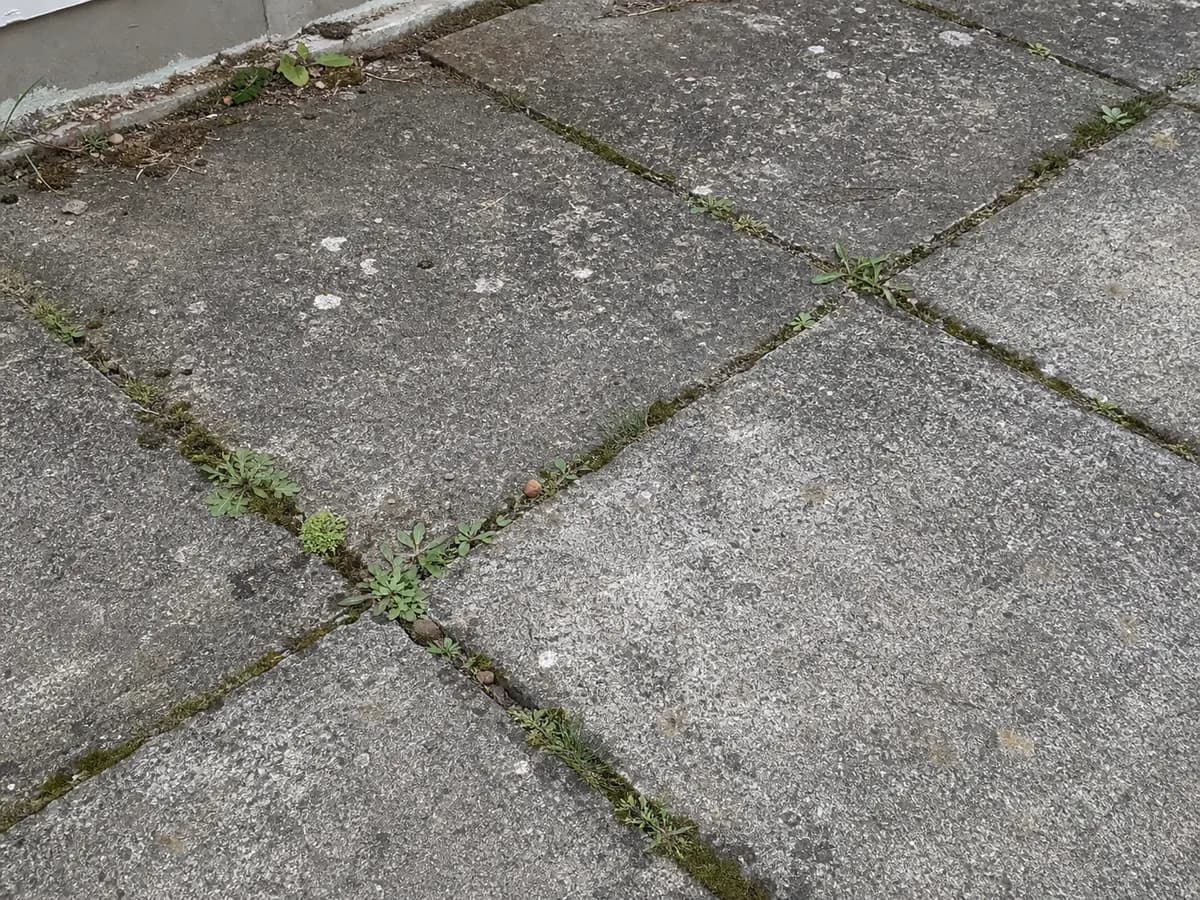 Nahaufnahme alter Betonplatten mit Fugen und Oberfläche als Detailfoto für eine Anfrage.